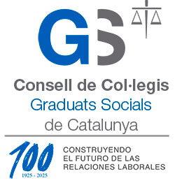 Consell Graduats Socials
